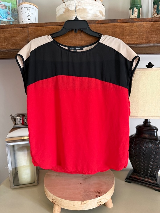 Sweet Rain Tops - Sweet Rain Colorblock Sheer Blouse - Large